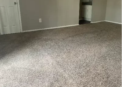Professional House Cleaning Service